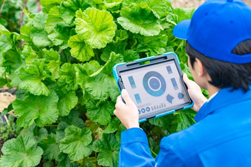 farmer digitally managing crops tablet - Agriculture and the Cloud: Data Collection with Total Grow Control