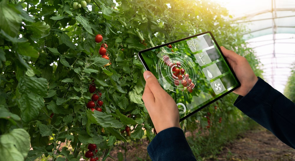 farmer holding tablet on background - Cloud Data Collection: A New Era for the Agriculture Sector