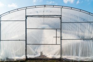 Greenhouse greenhouse with plastic film outdoors - Total Grow Control and the Future of Custom Cultivation