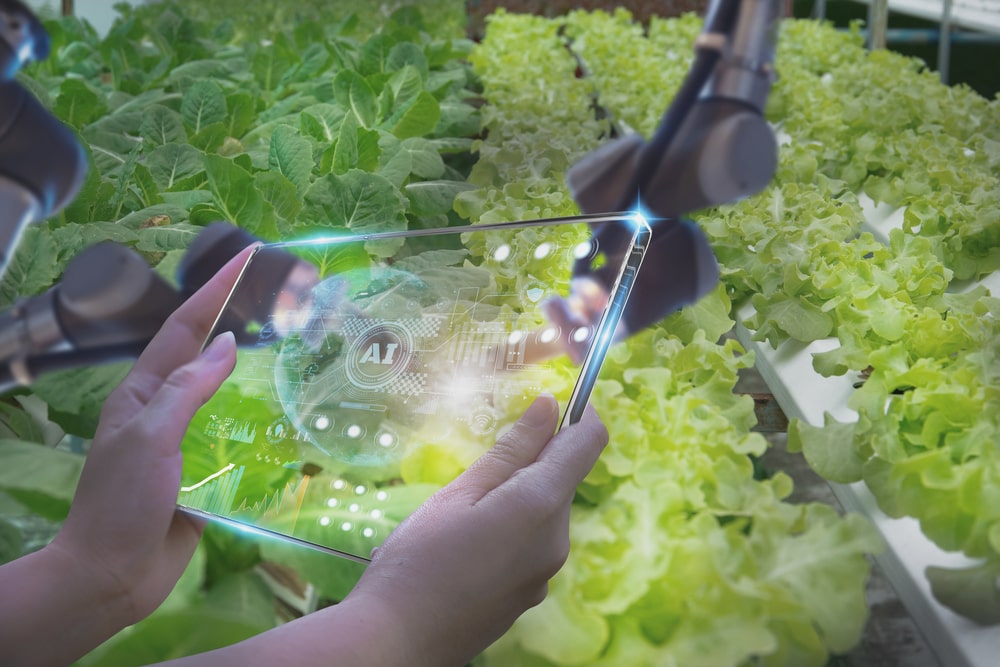 Farmers utilizing a futuristic tablet to inspect harvest products and monitor agricultural produce and plant crops, integrating concept technologies and Artificial Intelligence in Agriculture