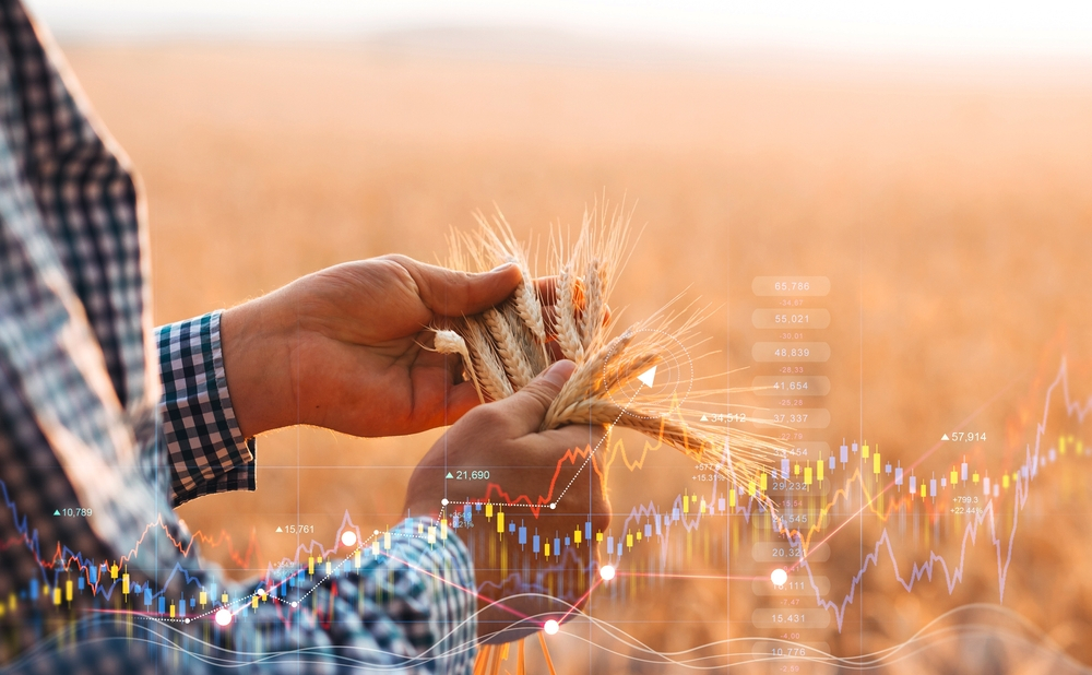 A field of golden wheat symbolizing the potential for high-yield, AI-powered agricultural solutions.